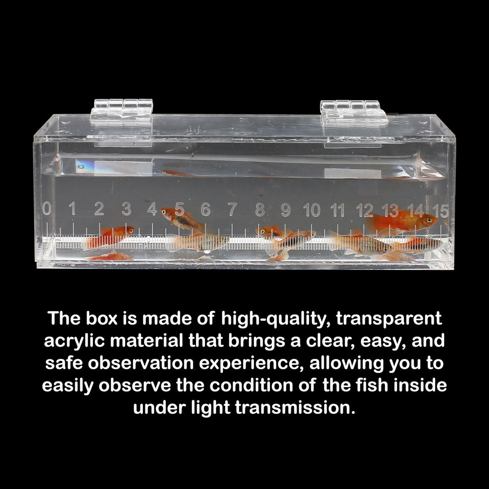 Marsrut boîte-observation-poissons transparente offrant une visibilité optimale.