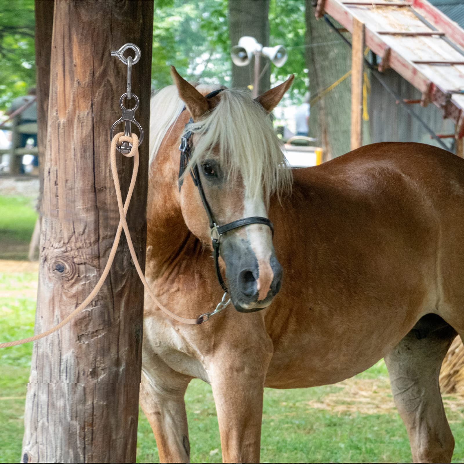 Martx Attache Cheval Acier Inoxydable, résistance durable pour l'équipement.