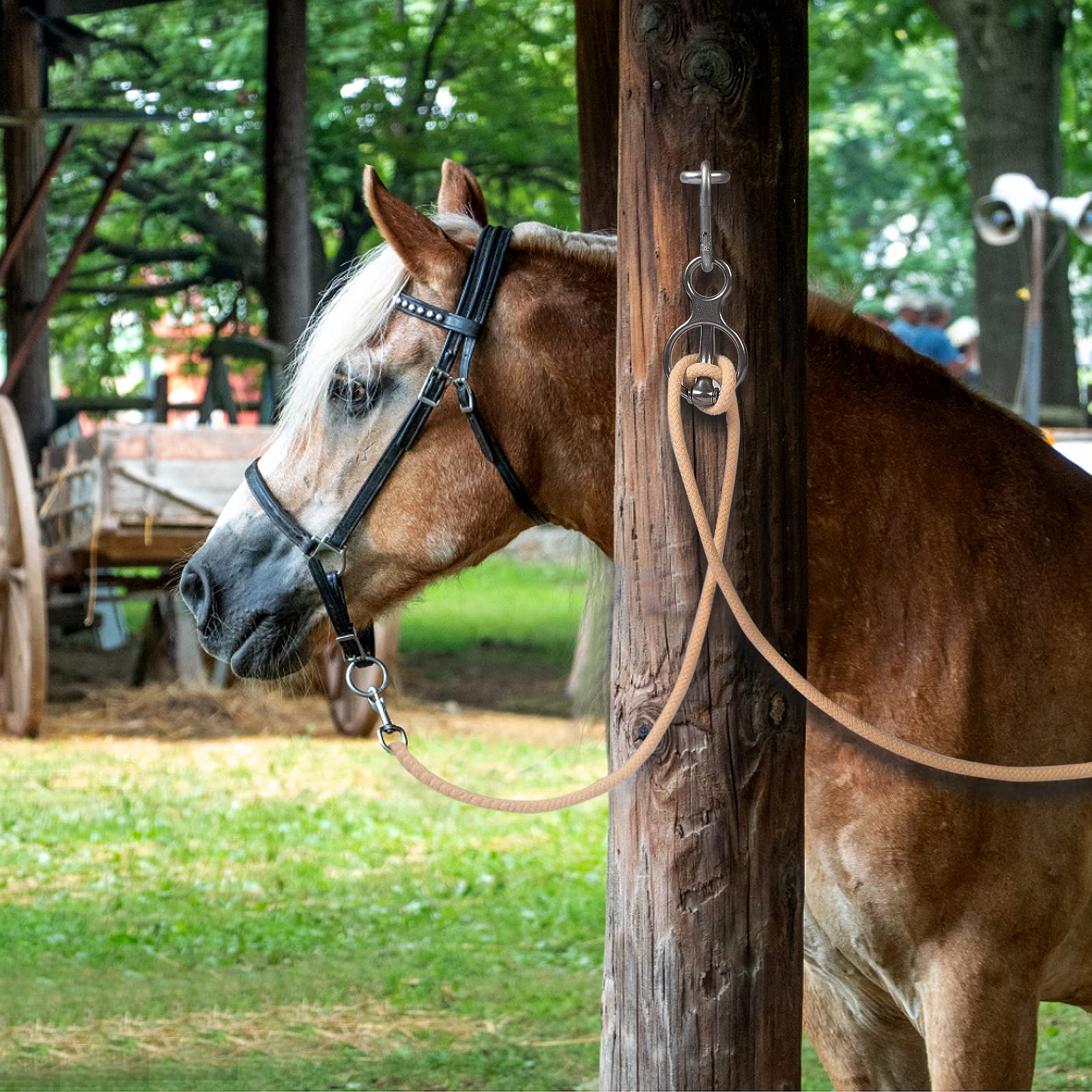 Martx Utilisation Sans Noeud Cheval, installation rapide et sans complication.