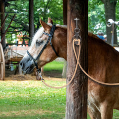 Martx Utilisation Sans Noeud Cheval, installation rapide et sans complication.