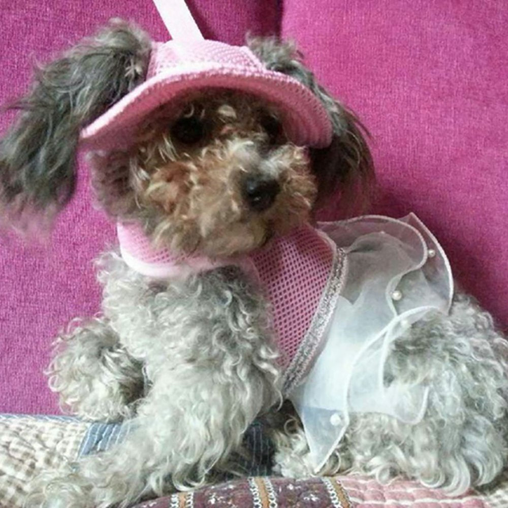 MaruPet chapeau rose très petit pour chien, style mignon et tendance.