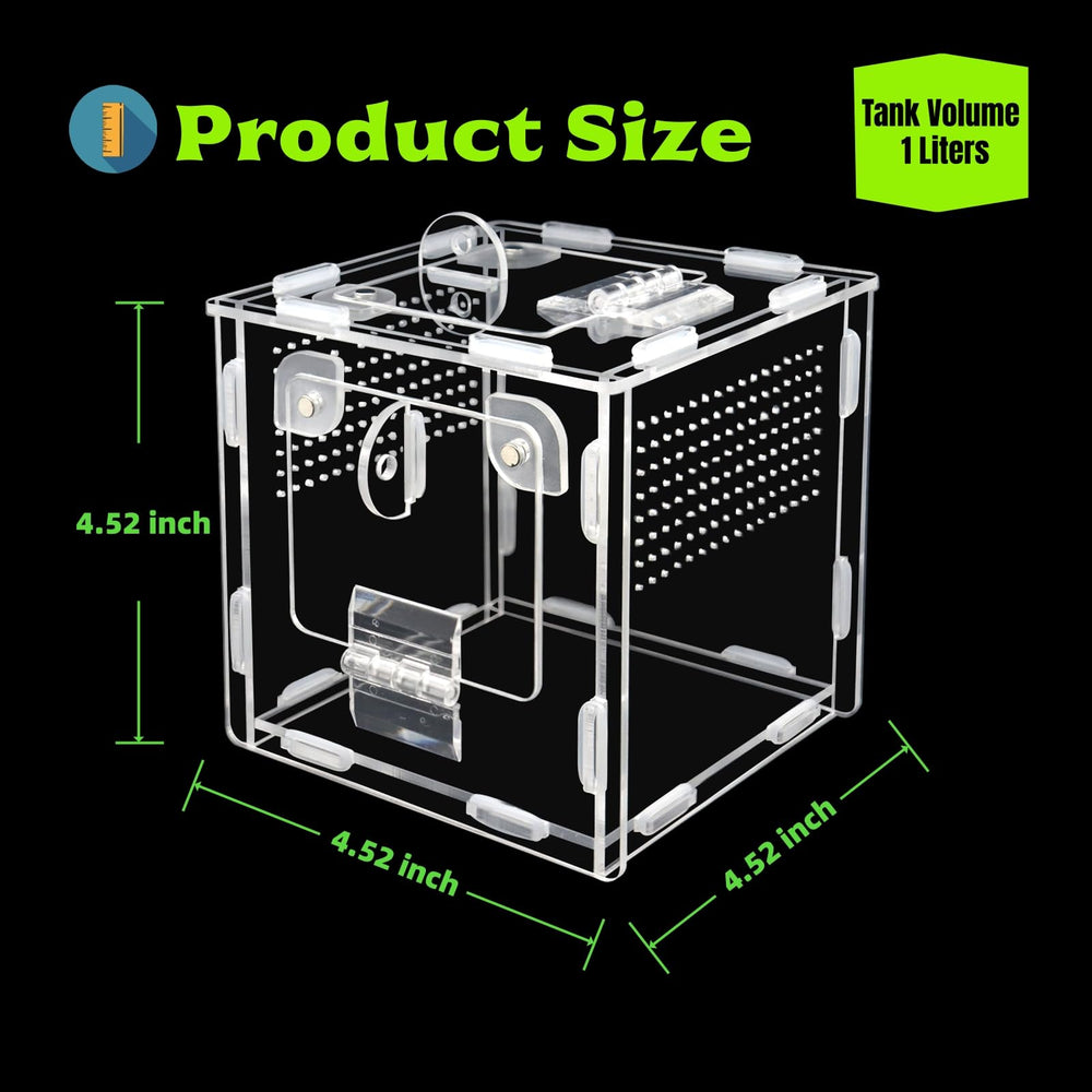MaryCarrie terrarium compact, parfait sur bureau ou étagère.