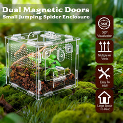 MaryCarrie terrarium petite araignée sauteuse, vue supérieure pour accès rapide.