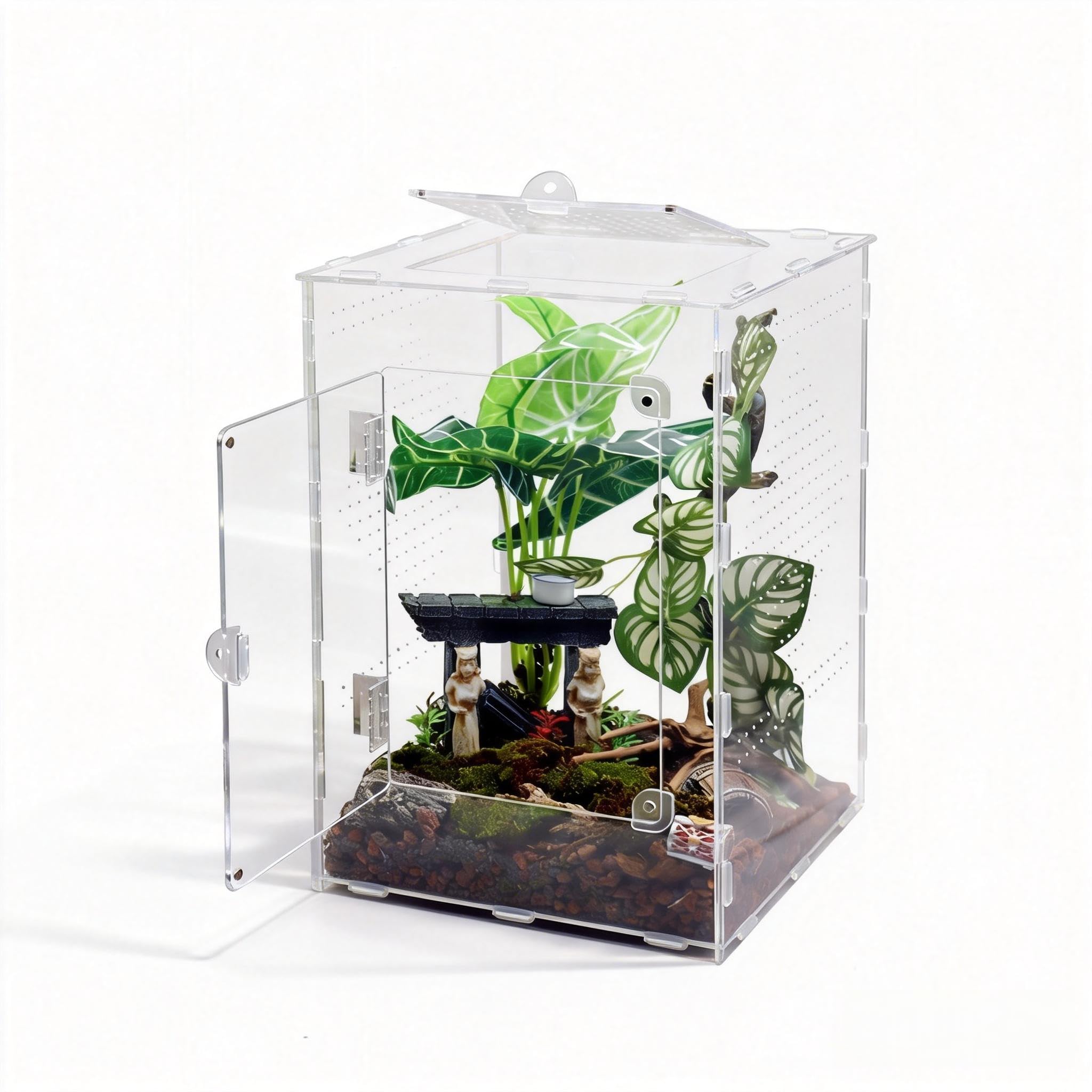 MaryCarrie terrarium saut grand, vue avant, espace vertical pour comportements naturels