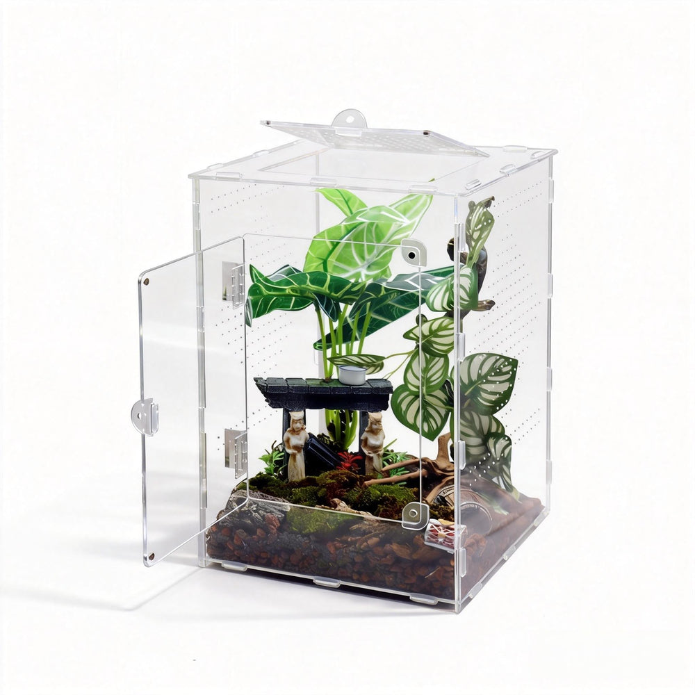 MaryCarrie terrarium saut grand, vue avant, espace vertical pour comportements naturels