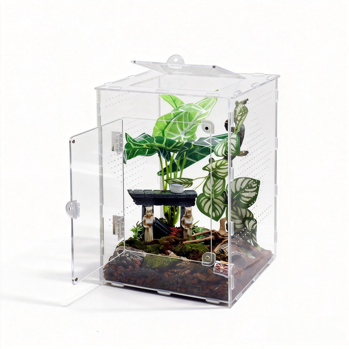 MaryCarrie terrarium saut grand, vue avant, espace vertical pour comportements naturels