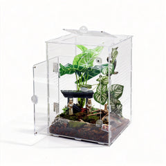 MaryCarrie terrarium saut grand, vue avant, espace vertical pour comportements naturels