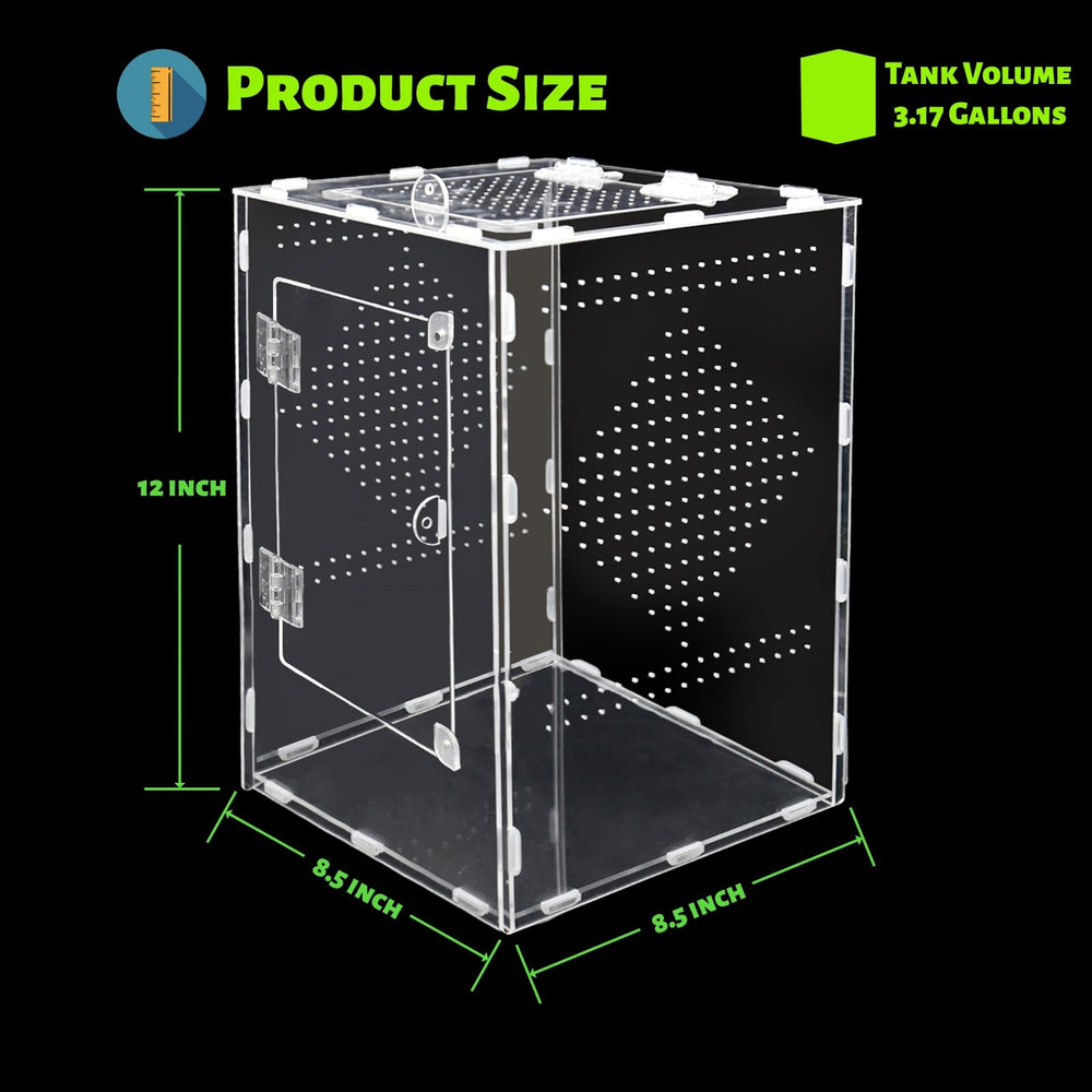 MaryCarrie terrarium transparent 8,5x8,5x12, vue nette pour observation