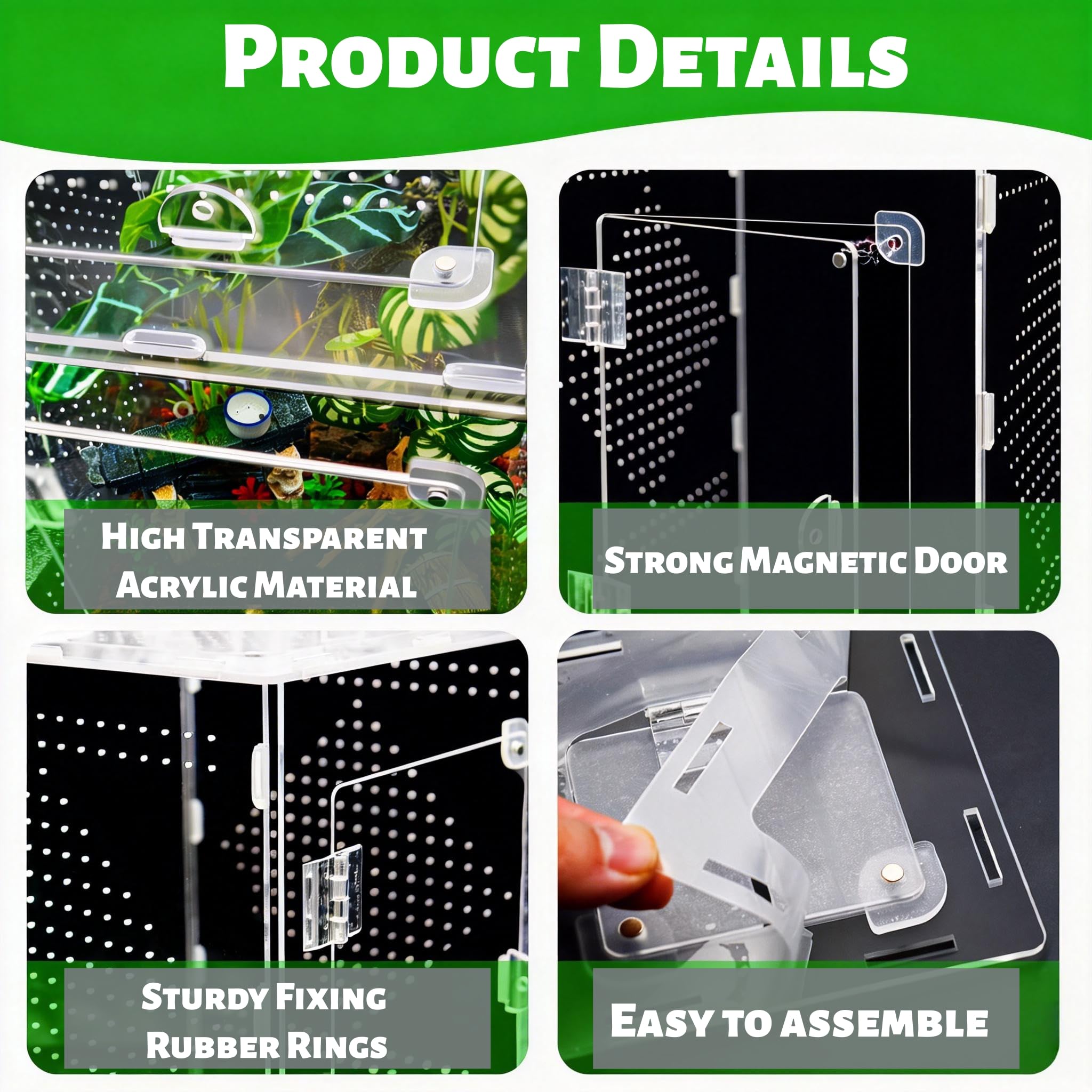 MaryCarrie visibilité cristal, clarté optimale pour admirer le terrarium