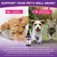 MASAIGGE sommeil-doux pour animaux de compagnie en situations stressantes.