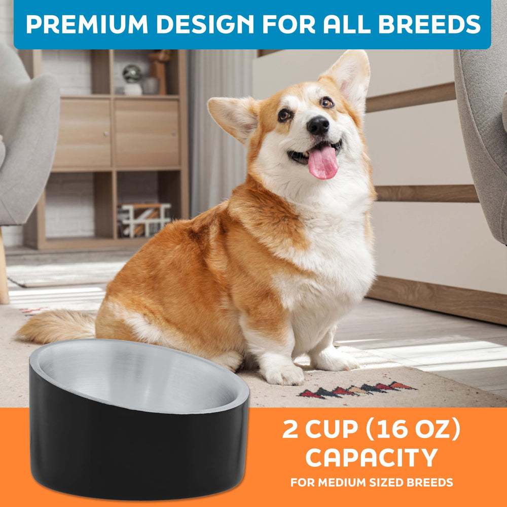 Master Pet Supply bol incline inox 16 oz, bords inclinés facilitent l’accès.