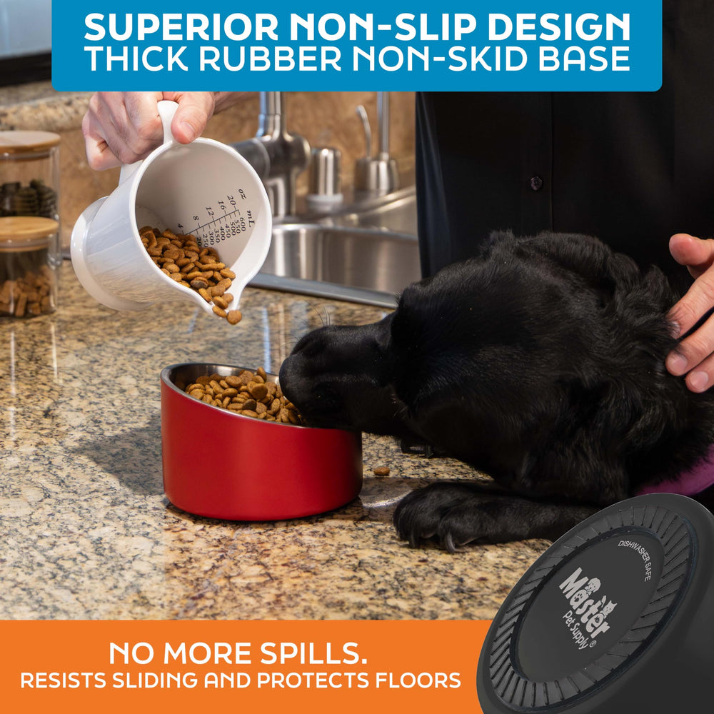 Master Pet Supply bol incline inox 16 oz, double paroi garde l’eau fraîche.