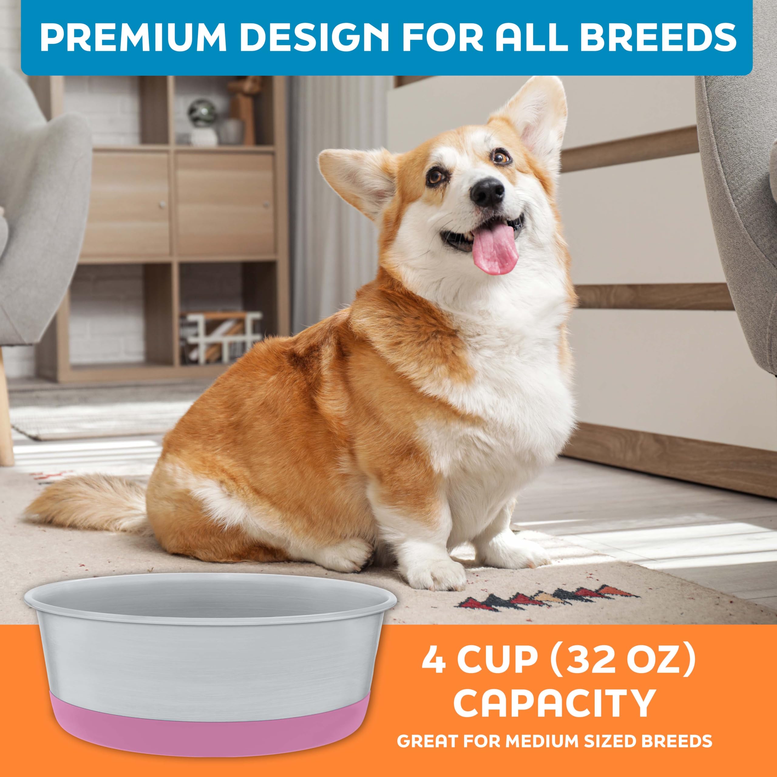 Master Pet Supply idéal pour eau et nourriture des chiens et chats.
