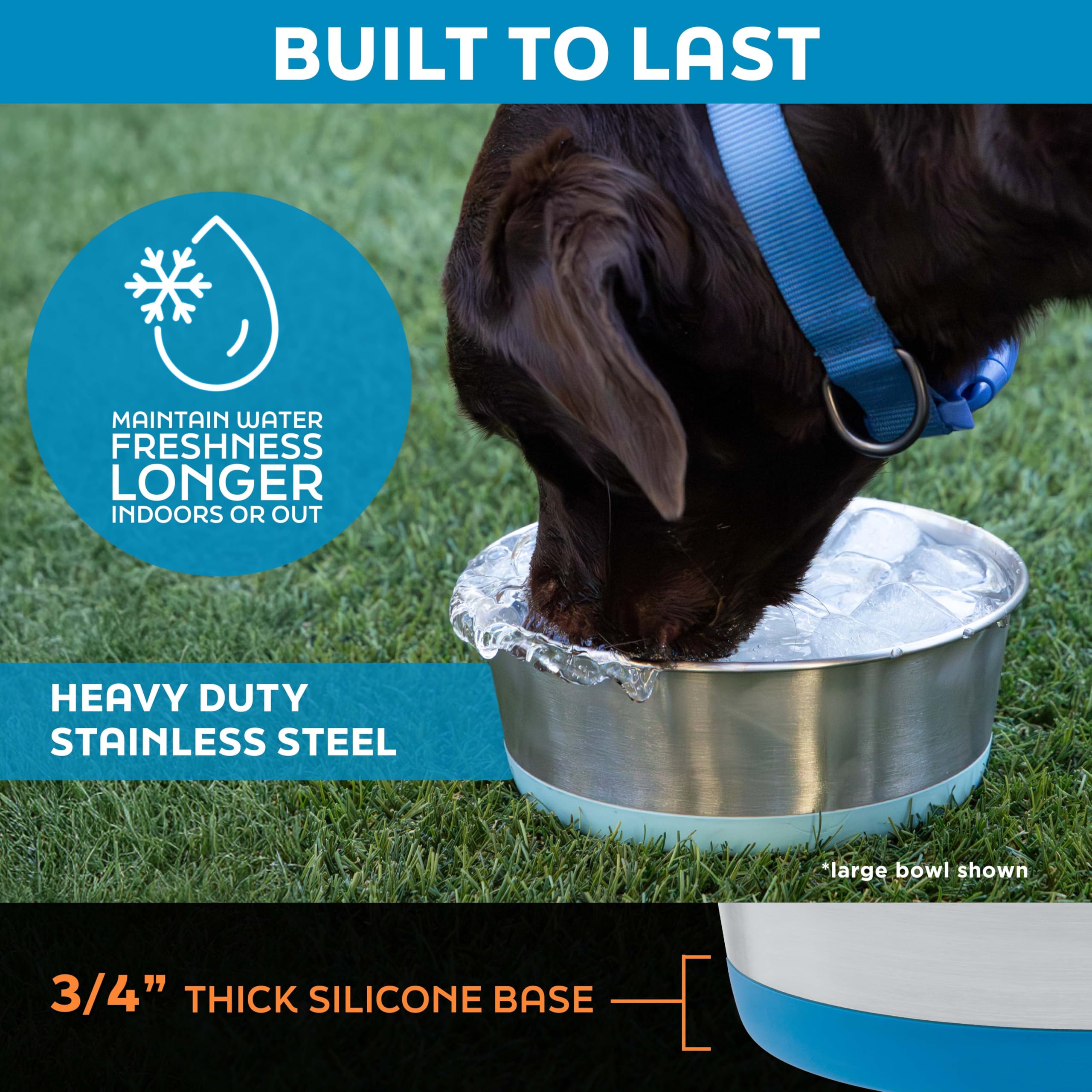 Master Pet Supply bol lavable au lave-vaisselle, sécurité alimentaire.