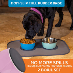 Master Pet Supply - bol sans BPA et sûr pour l’alimentation, surface hygiénique.