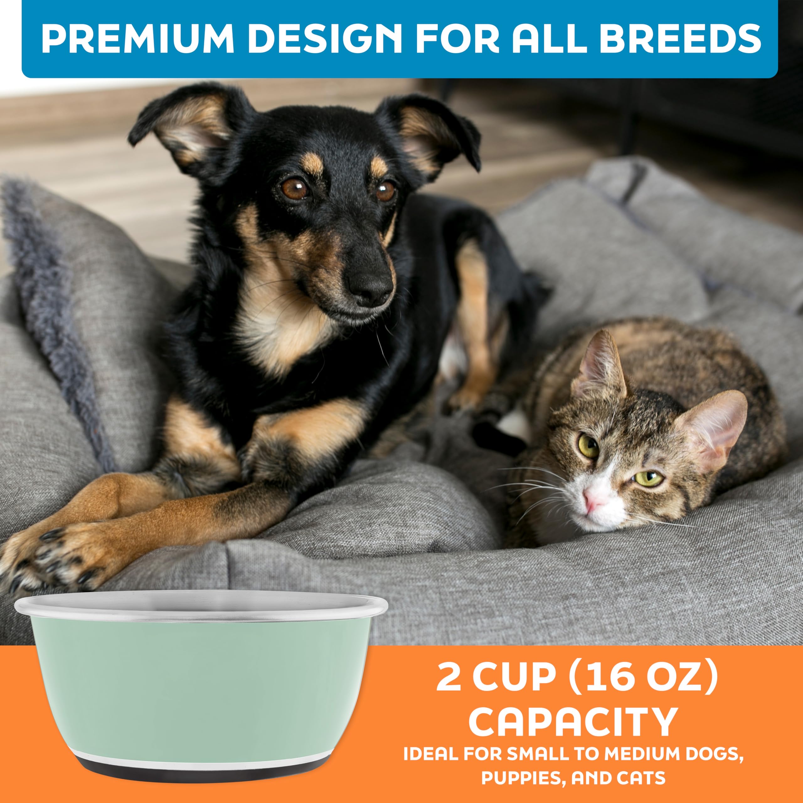 Master Pet Supply duo de bols en inox Pistache, idéal pour voyages et sorties.