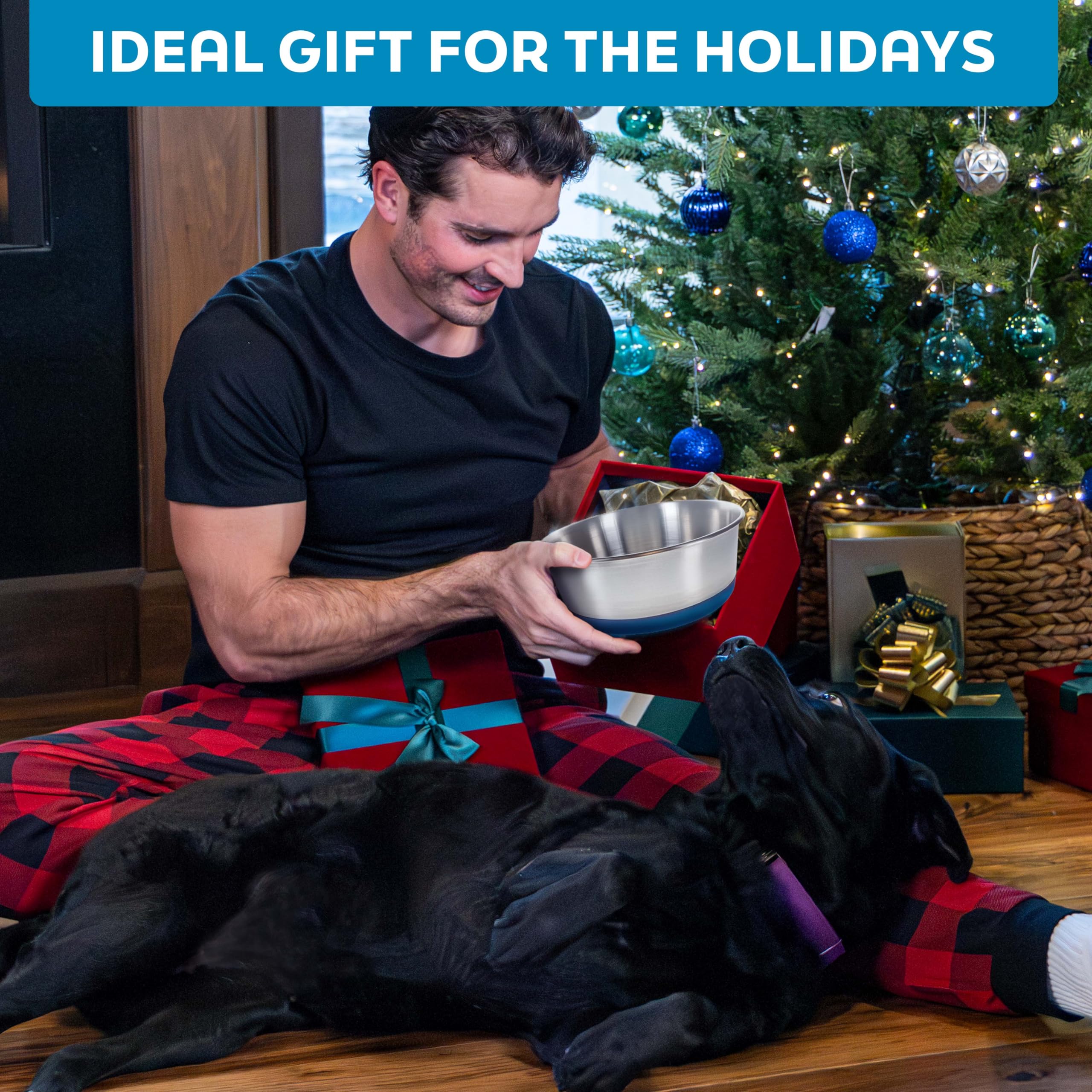 Cadeau pratique pour propriétaires attentifs à leurs animaux.