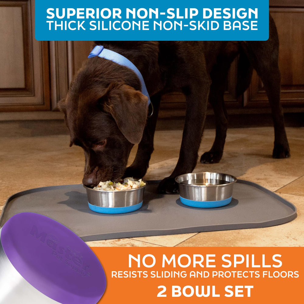 Design en acier inox Master Pet Supply anti-rouille, couleur Plum Crazy.