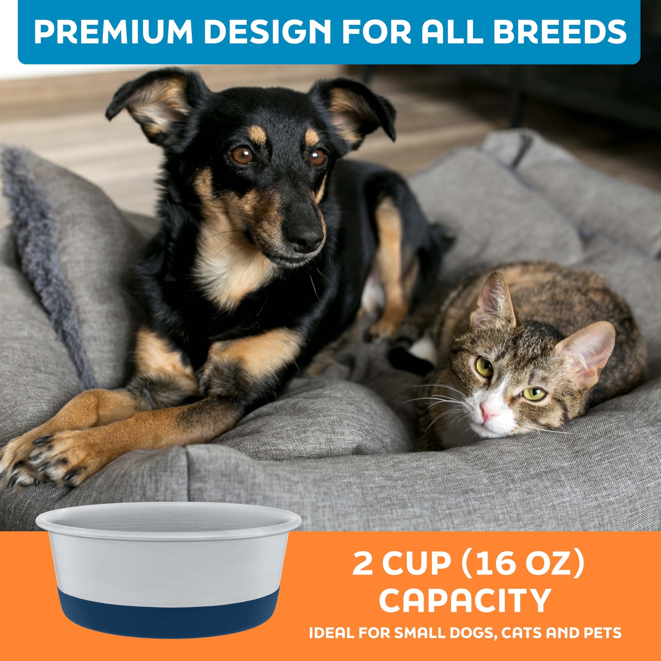 Master Pet Supply inox durable et anti-corrosion pour une utilisation quotidienne.