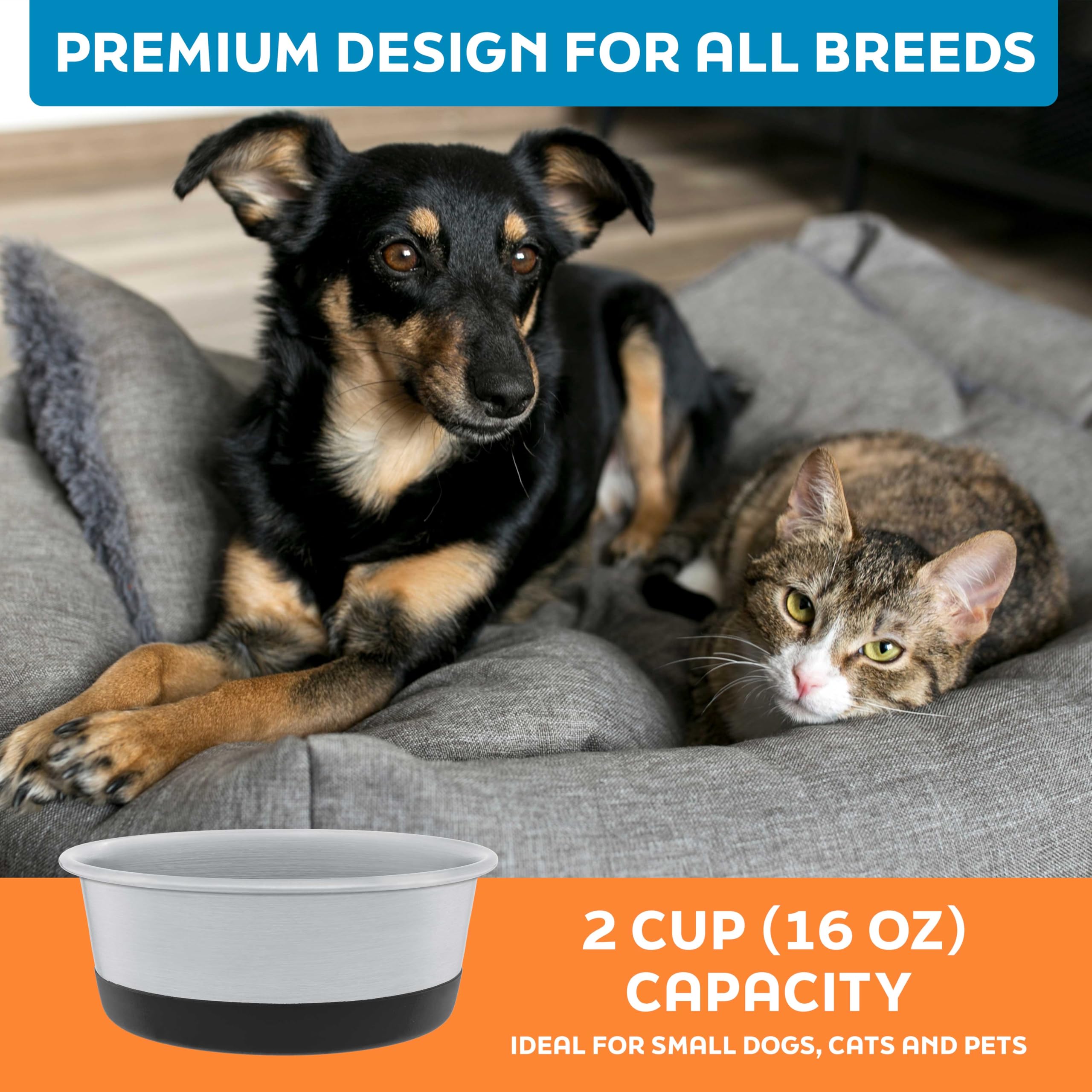 Parfaits pour chiens et chats de toutes tailles.