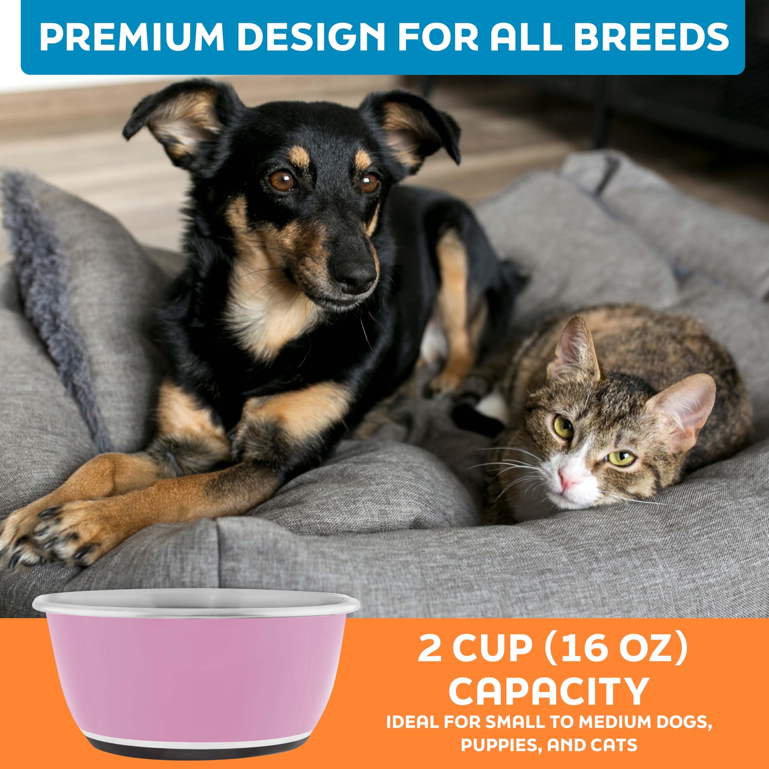 Couleur Hyper Rose et design attrayant pour votre animal.