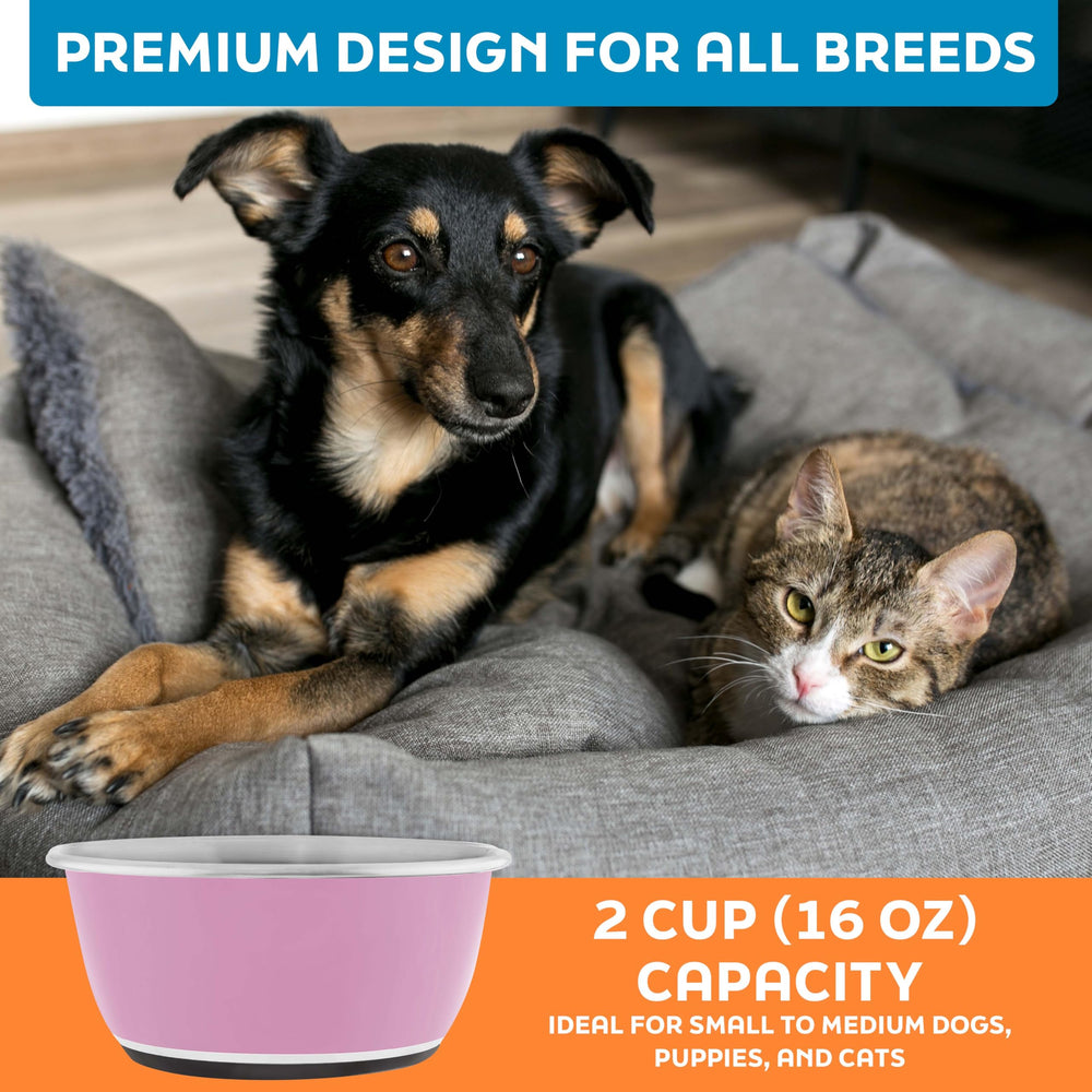 Couleur Hyper Rose et design attrayant pour votre animal.