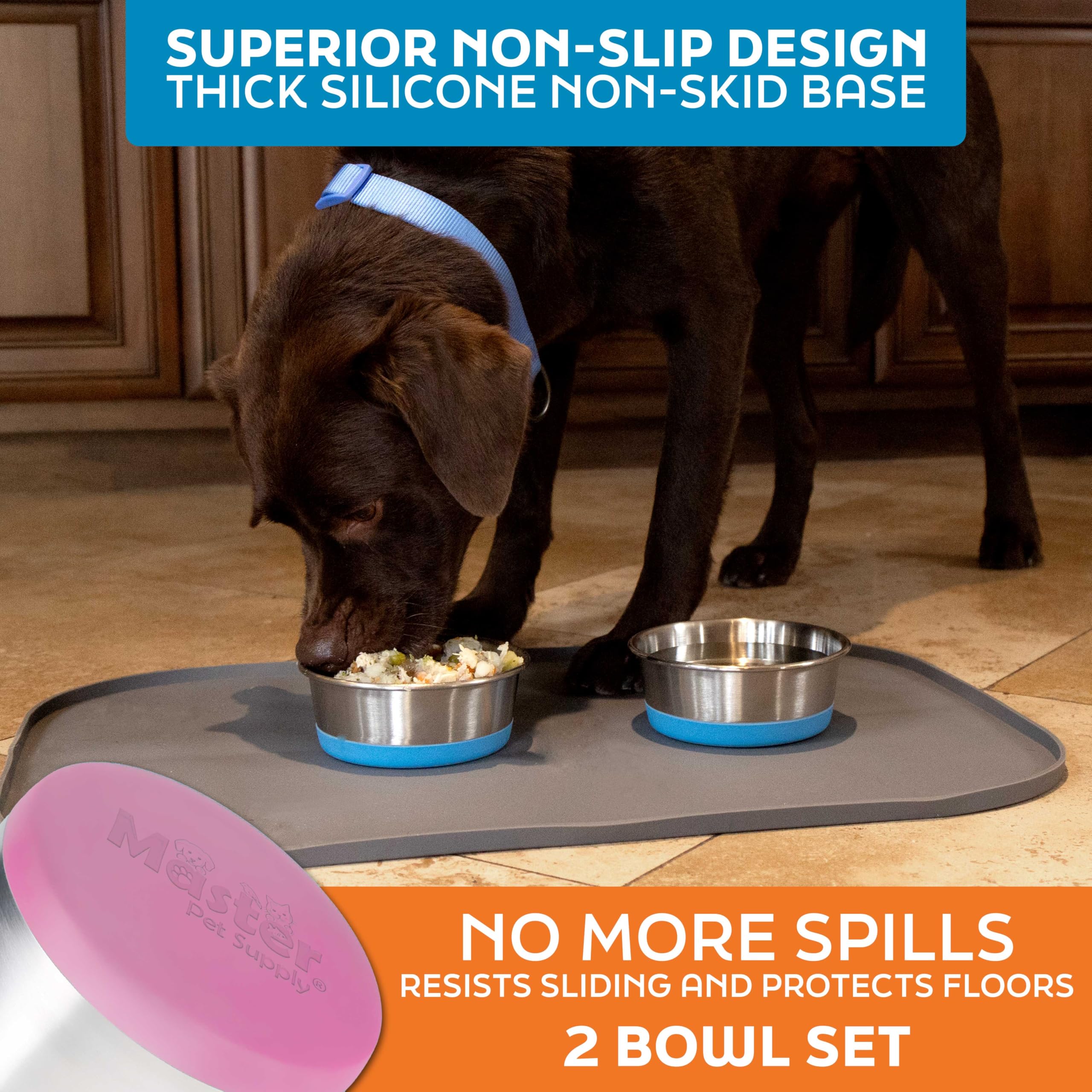 Master Pet Supply utilisation intérieur et extérieur, bol polyvalent.