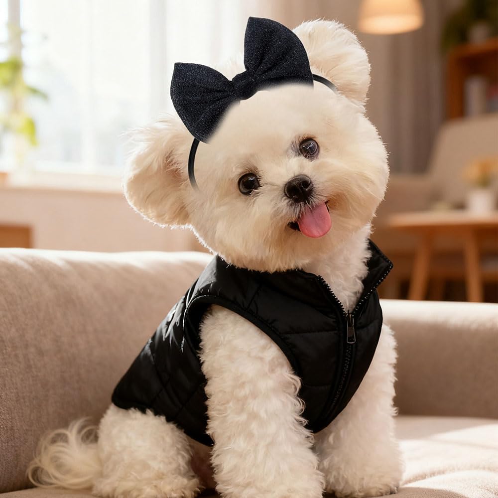 Masue Pets bandeau chien taille ajustable, confort optimum.