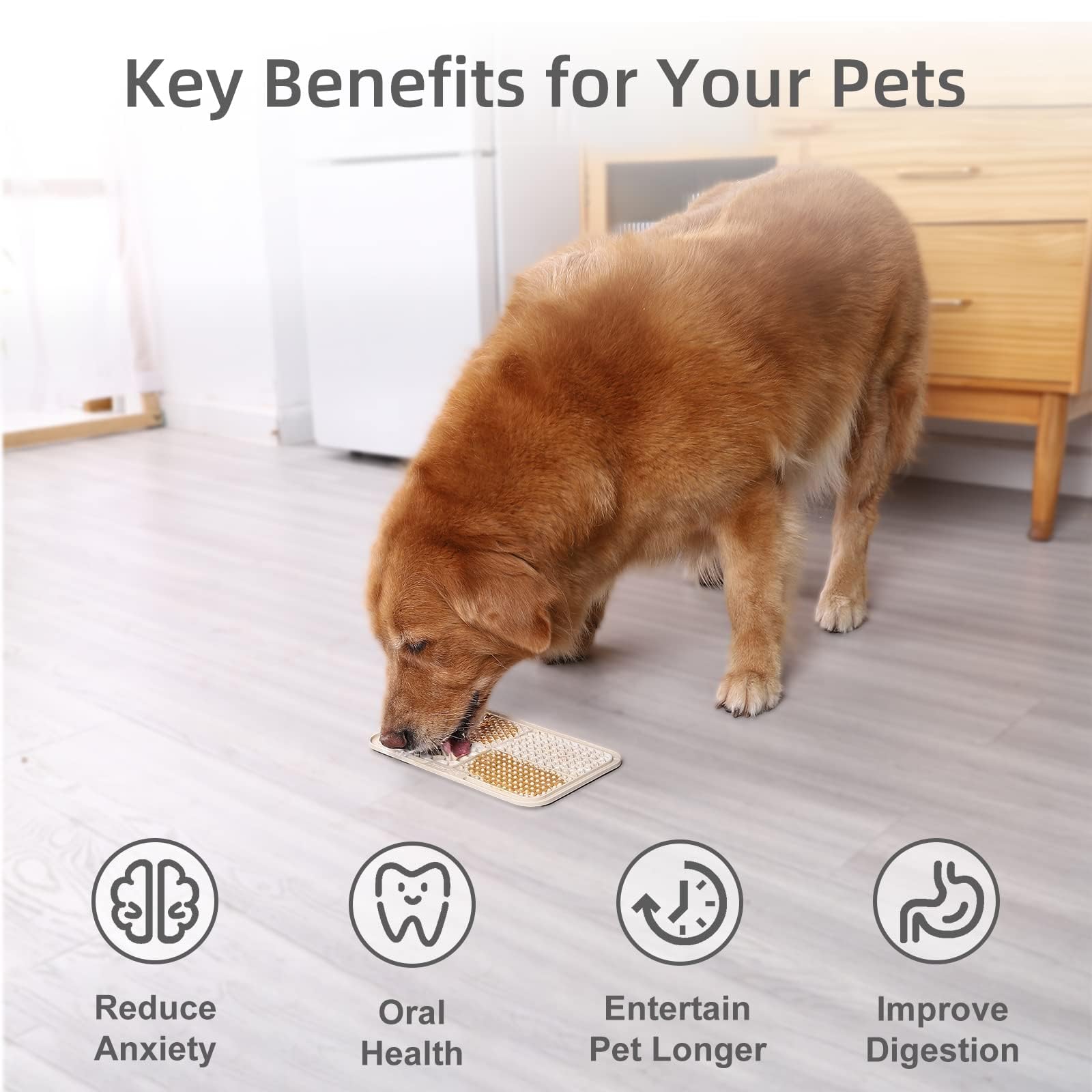 MateeyLife bols aliments lent pour chien, aide à manger plus lentement en toute sécurité.