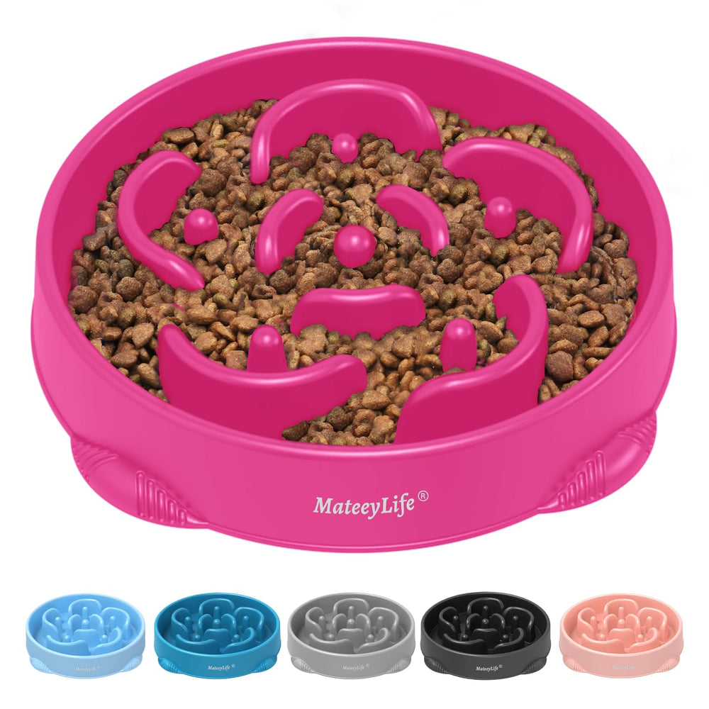 MateeyLife bol ralentisseur puzzle, grand bol, ralenti l'alimentation trop rapide.