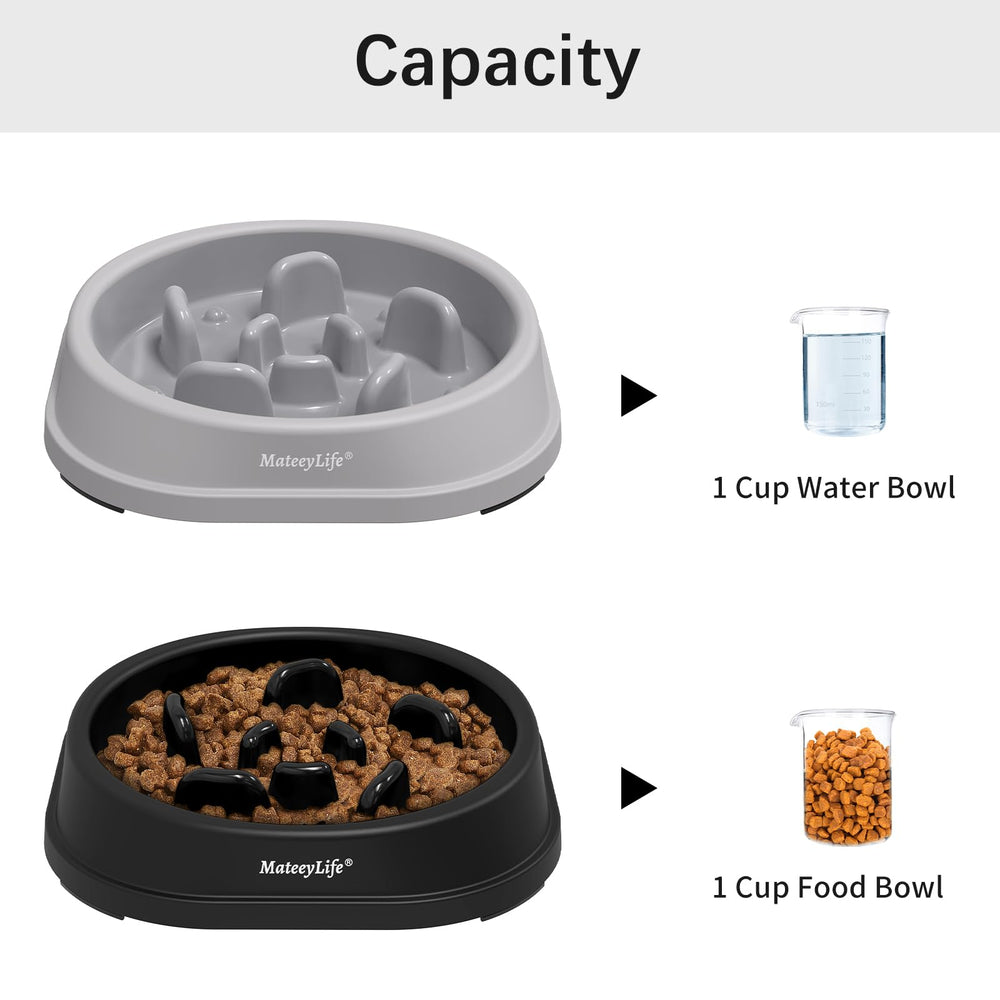 Matière sûre polypropylène du bol MateeyLife pour chats.