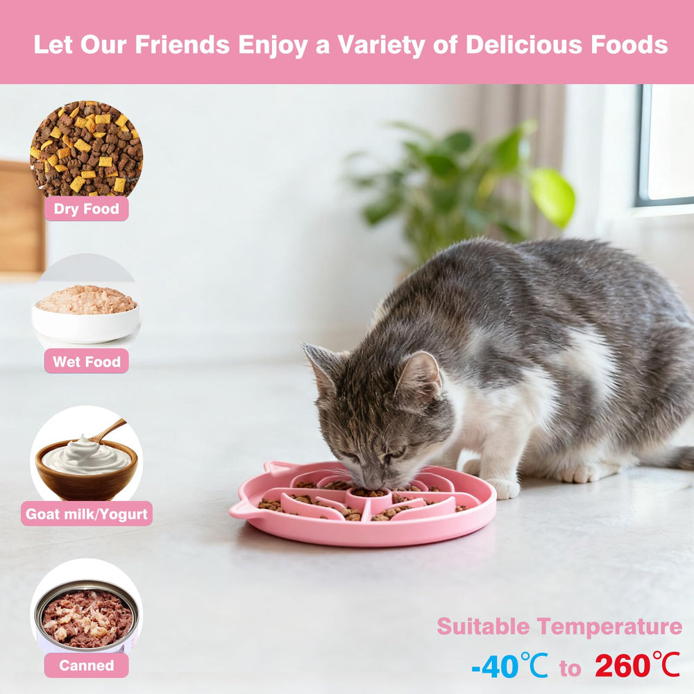 MateeyLife adapté aux aliments secs et humides pour chats.