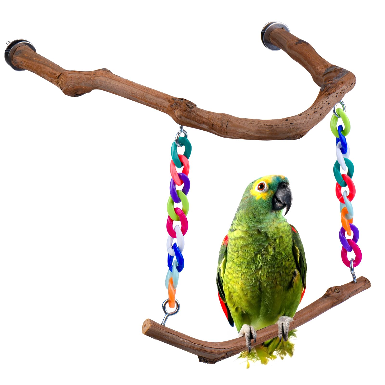 Matutinus balançoire pour oiseaux en bois de raisin naturel, stimulation et jeu quotidien.