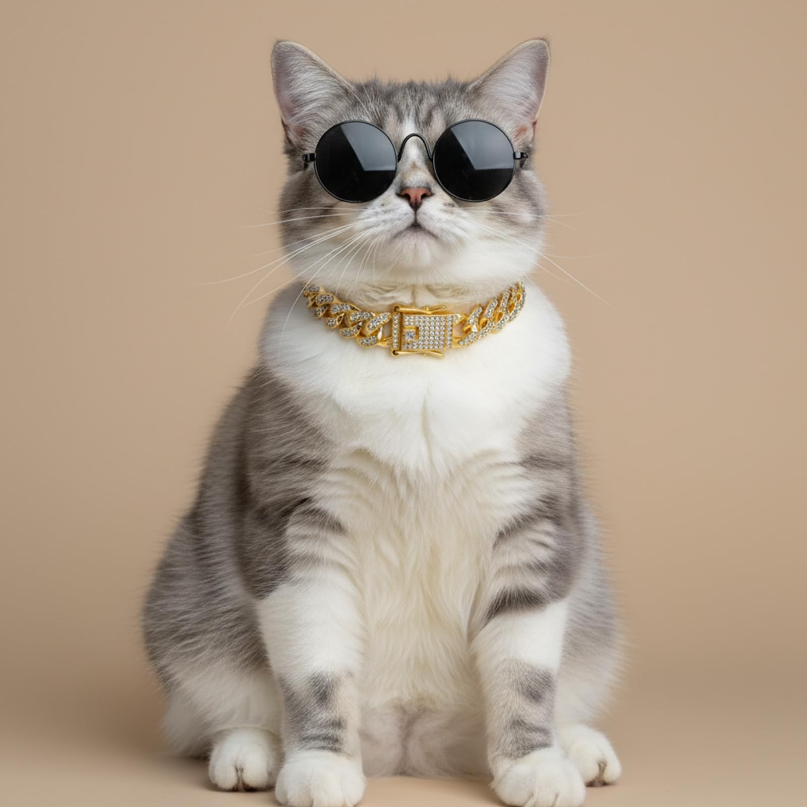 Mouvement flexible du collier Matwsec doré, confort quotidien pour animal domestique.