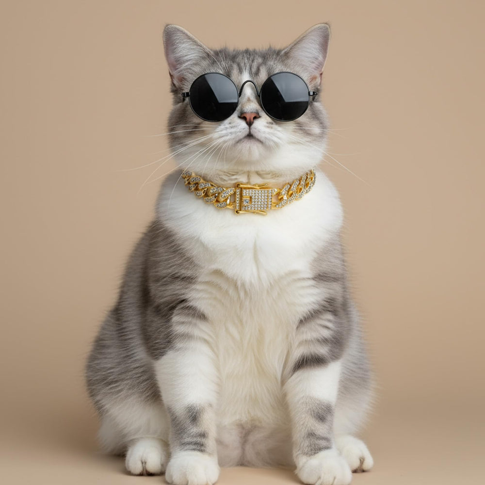 Mouvement flexible du collier Matwsec doré, confort quotidien pour animal domestique.