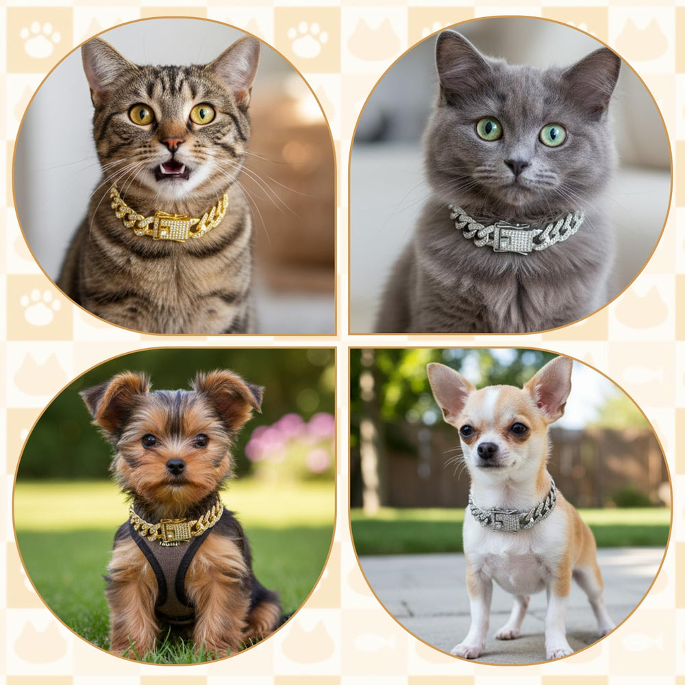 Collier chien doré cubain avec cristaux Matwsec, look chic pour occasions.