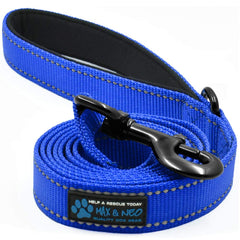 Laisse réfléchissante Max et Neo en nylon bleu, visibilite nocturne accrue.
