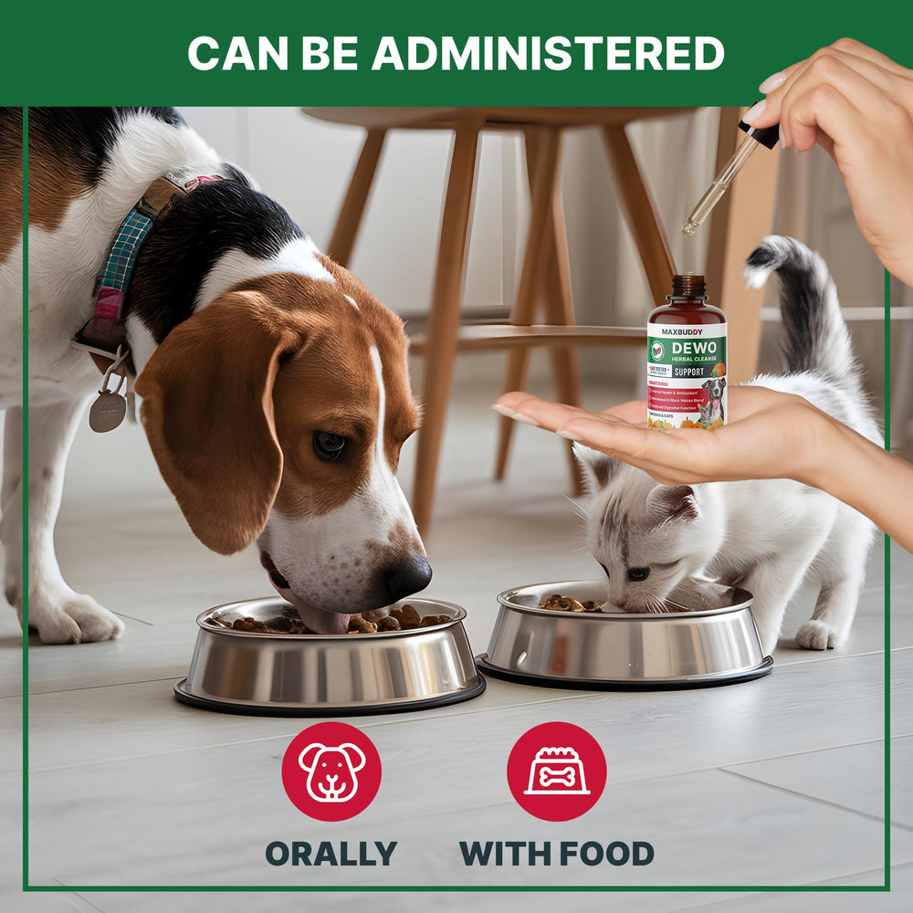 MaxBuddy Defense intestinal – application quotidienne pour chiens et chats.
