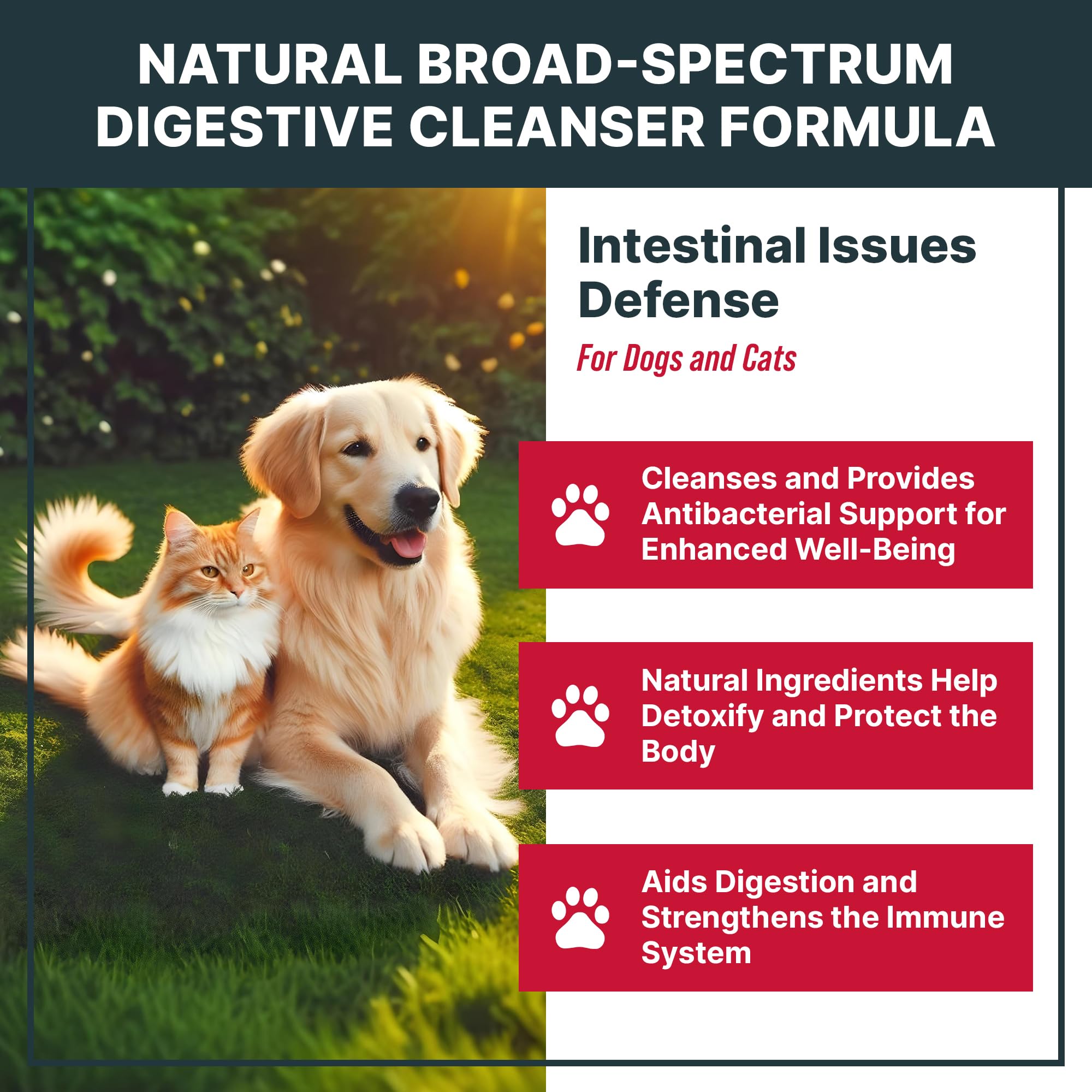 MaxBuddy Defense intestinal – etiquette, liste d'ingrédients naturelle pour usage quotidien.