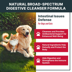 MaxBuddy Defense intestinal – etiquette, liste d'ingrédients naturelle pour usage quotidien.