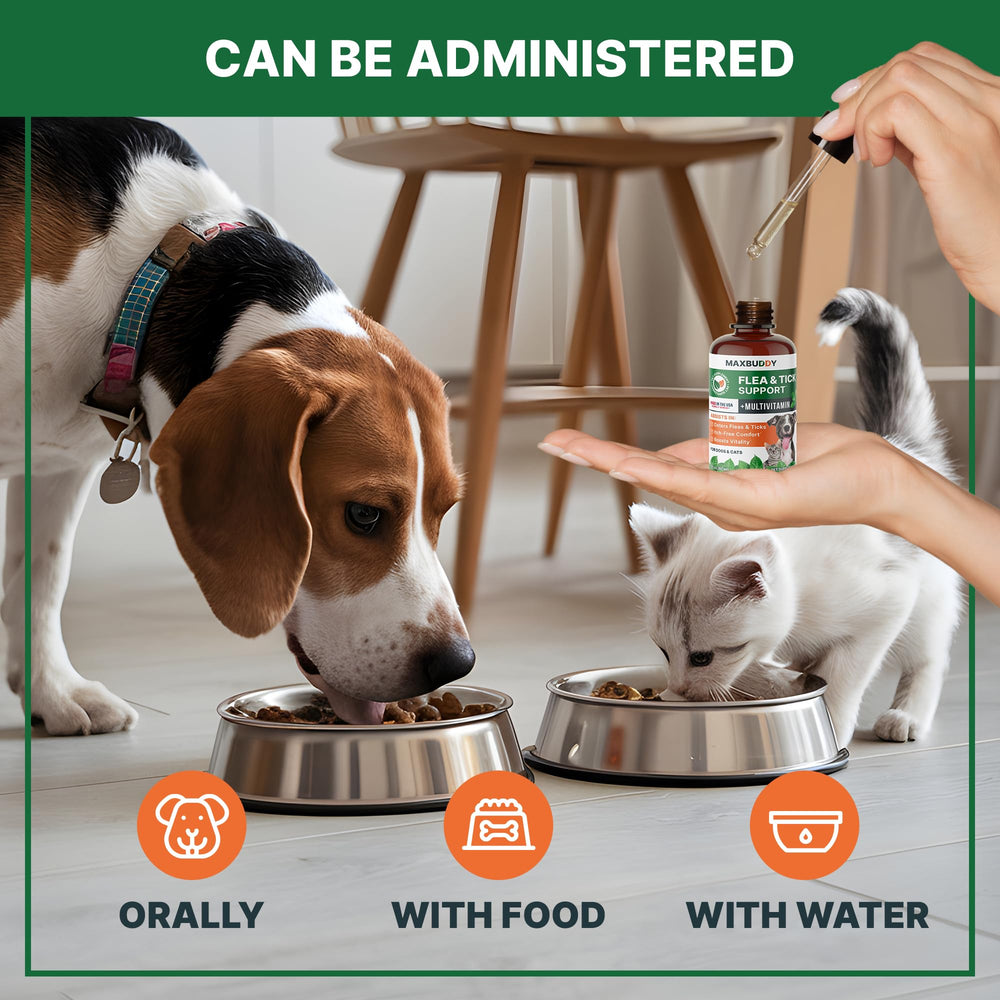 MaxBuddy sans additifs artificiels ni OGM, formule naturelle.