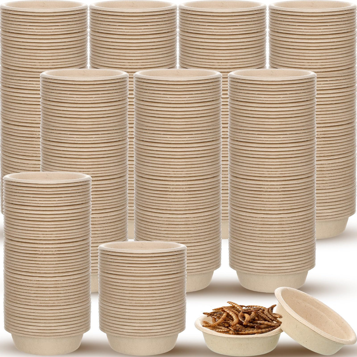 Maxcheck gecko cups ensemble 1000, pratique pour nourrir plusieurs reptiles.