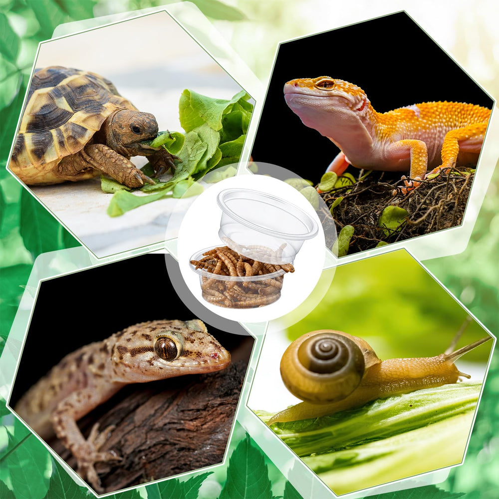 Maxcheck accessoire polyvalent pour petits reptiles et aliments variés.