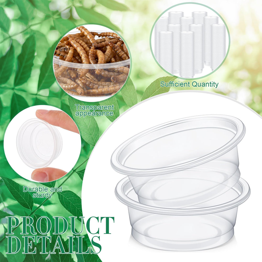 Maxcheck récipient PP clair sûr et durable pour reptiles.