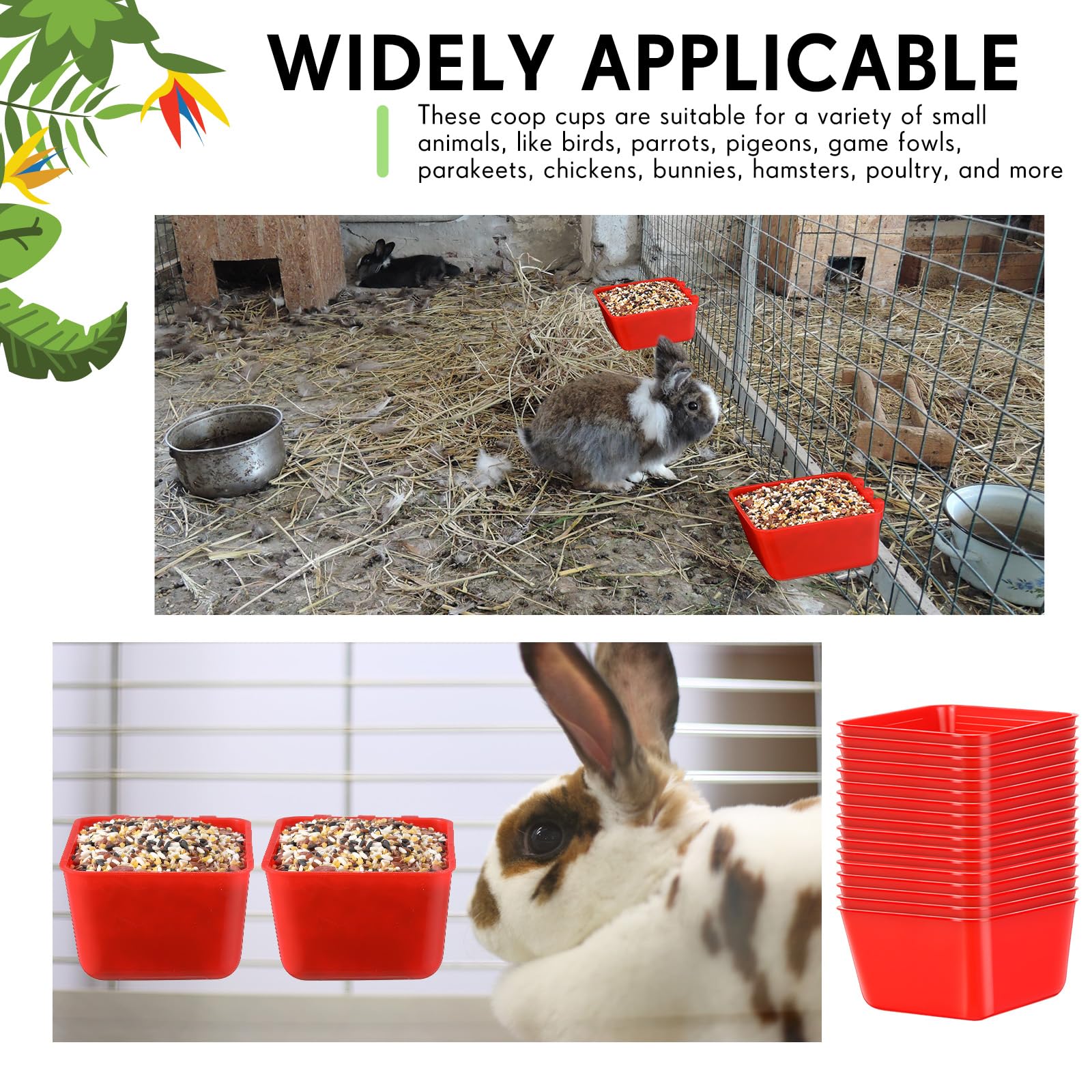 Maxdot gobelets rouges polyvalents pour oiseaux, poules et petits rongeurs