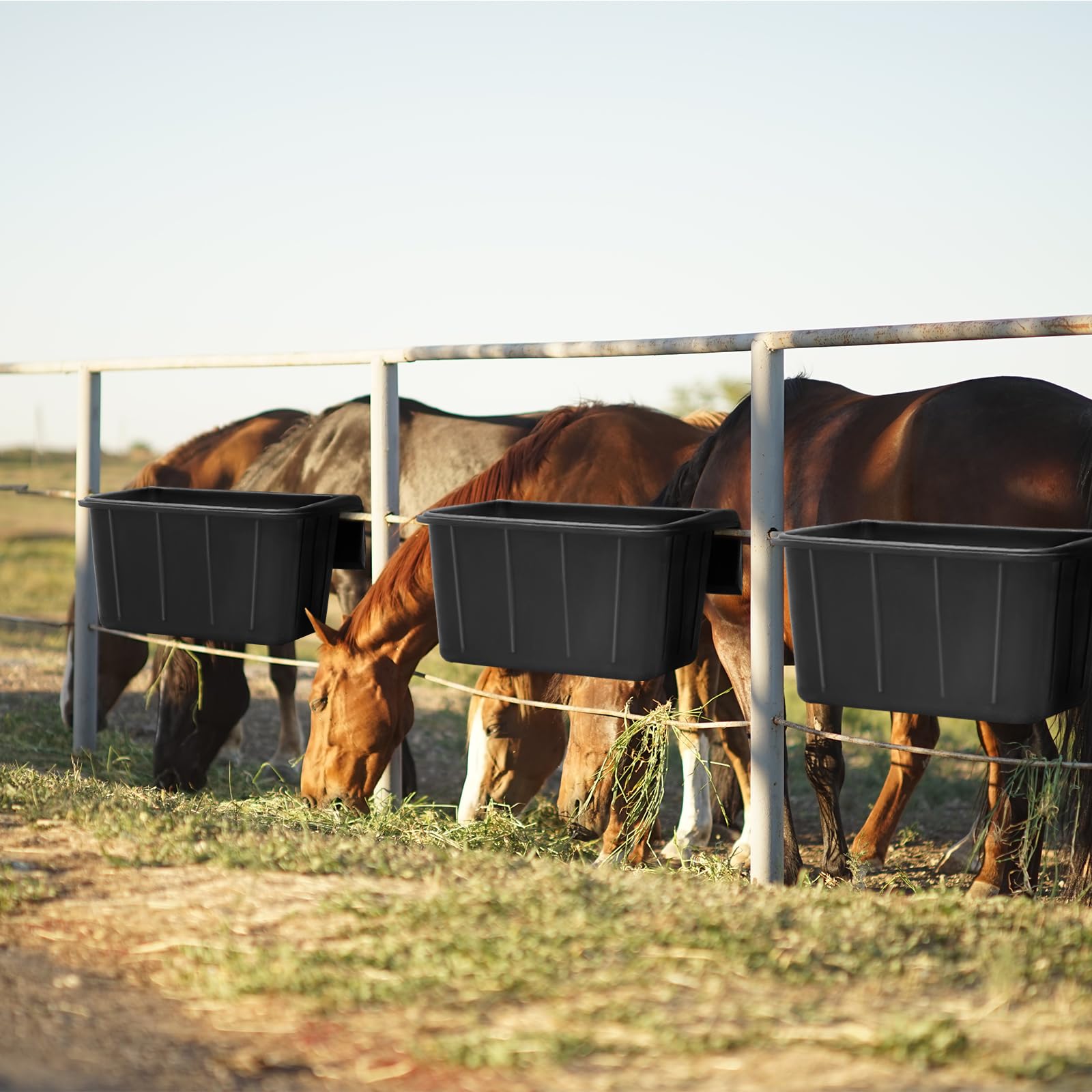 Maxdot nourrisseur caoutchouc extérieur, usage polyvalent pour chevaux et bovins