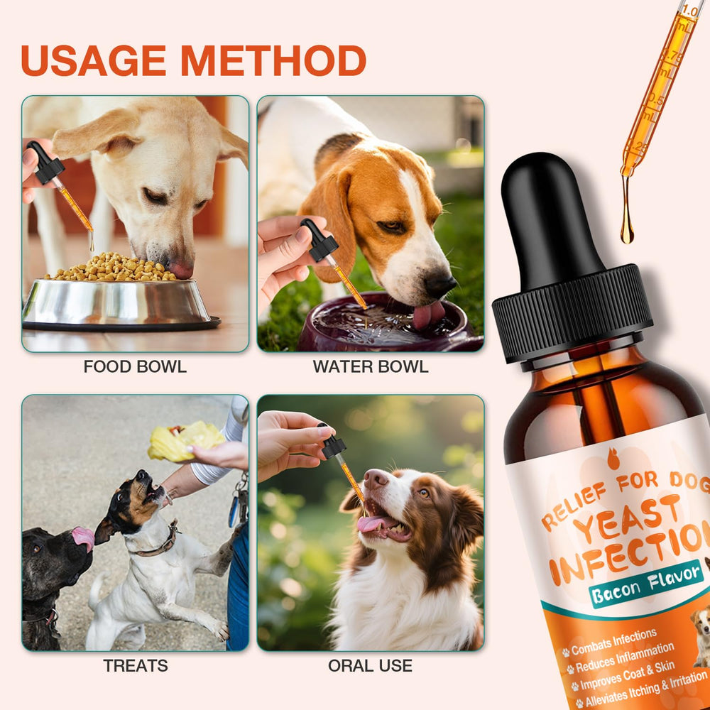MaxHemp gouttes levure chien - dosage précis pour tous les poids.