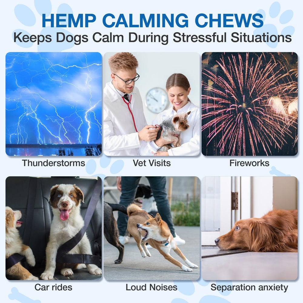 MaxHemp pour la séparation et le stress — aide potentielle au calme.