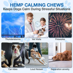 MaxHemp pour la séparation et le stress — aide potentielle au calme.