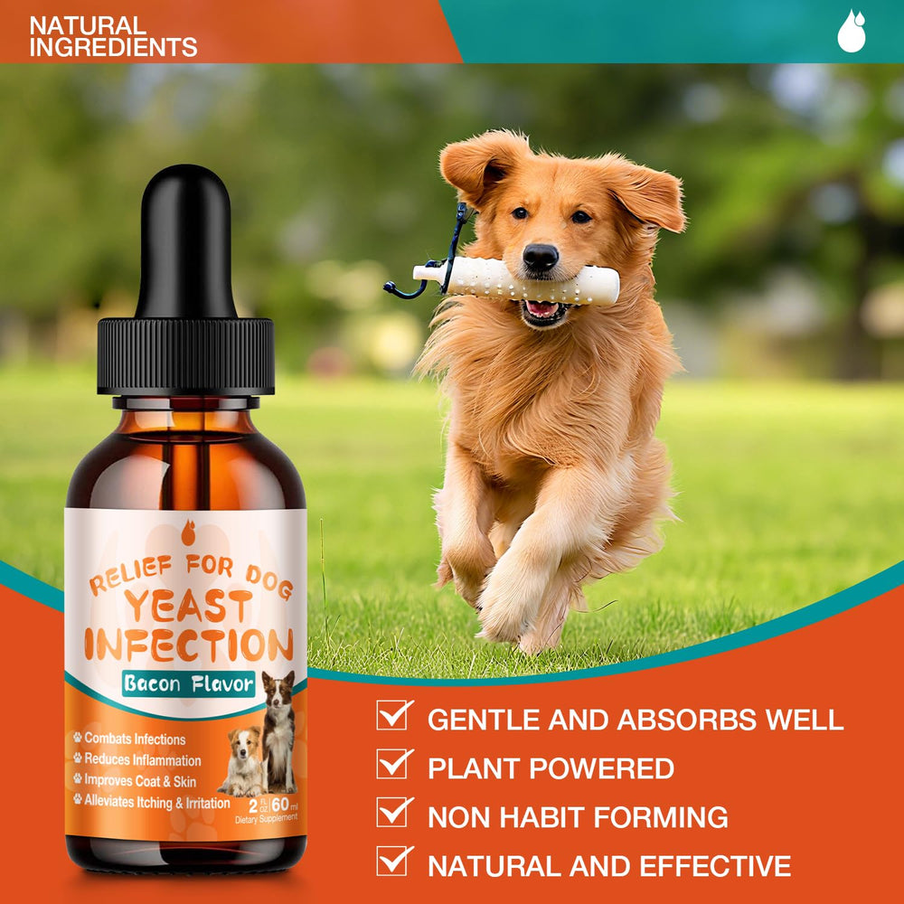 MaxHemp gouttes levure chien - soins oreilles, apaise confort et irritations.